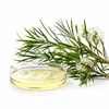Aceite Esencial de Árbol de Té de Australia, Aceite Esencial para Aromaterapia, Masaje Facial, Venta al por Mayor de Materias Primas de Aceites Esenciales para Uso de Muestreo Industrial