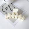 Duowei Joias estilo coreano simples fosco sólido cor em forma de onda Grab Clip plástico Back Head Bath Chuck Hair Top Clip