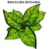 Paredes de Plantas Simuladas, Céspedes Artificiales, Decoraciones de Paredes Verdes con Plantas, Paredes de Fondo, Flores Artificiales, Césped Verde de Plástico Artificial al por Mayor