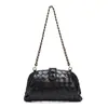 Bolso Tejido Nuevo Hecho a Mano con Acabado de Lujo, Diseño de Nicho, Bolso de Clip, Bolso de Concha con Cadena, Bolso de Hombro Versátil y de Moda