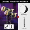 Luz de Preenchimento para Transmissão ao Vivo de 300W, Luz para Fotografia para Montagem de Sala de Transmissão ao Vivo, Refletor Esférico com Grade Constante, Lâmpada Solar de Alto Brilho