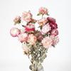 Crisantemo de piña, Crisantemo de paja de trigo, Margarita pequeña, Ramo de cabezas de crisantemo coloridas, Decoración del hogar Accesorios de fotografía, Flores secas creativas