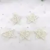 Pinhas Secas Naturais Materiais de Decoração para Árvore de Natal Fotografia de Bolos e Sobremesas Adereços para Fotografia de Buquês Florais Baoshi