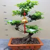 Mudas de Bonsai de Tronco de Árvore Perene de Quatro Estações Plantas de Interior Ginseng Banyan Ficus de Folha Pequena Árvore em Vaso Novo Trigo Artificial Resistente ao Frio Taibo