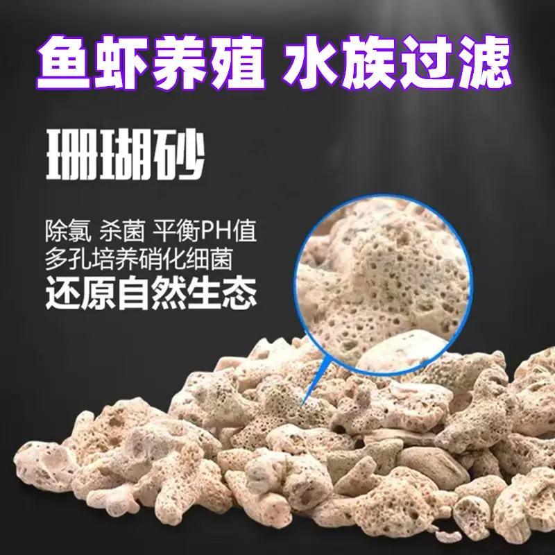珊瑚沙主图2