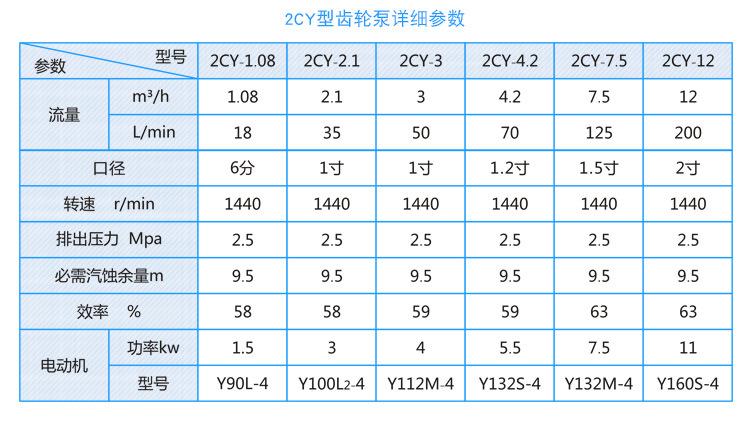新2CY铸铁小泵12_08