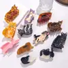 Novo Prendedor de Garra de Gatinho Animal, Prendedor de Tubarão Fofo de Acetato, Garra de Cabelo de Gato, Acessório de Cabelo de Alta Qualidade, Design de Luxo Leve para Mulheres