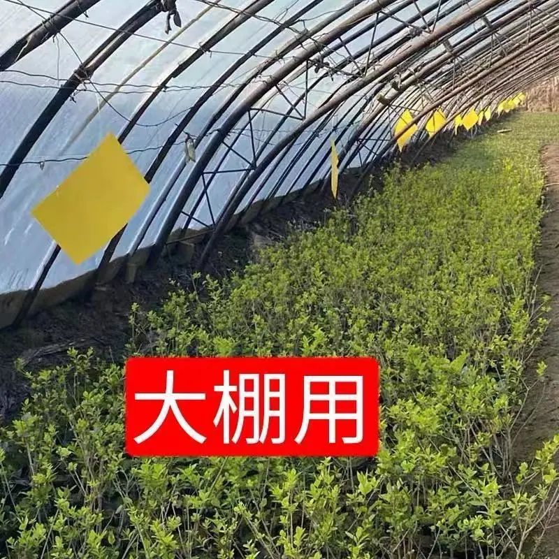 详情8