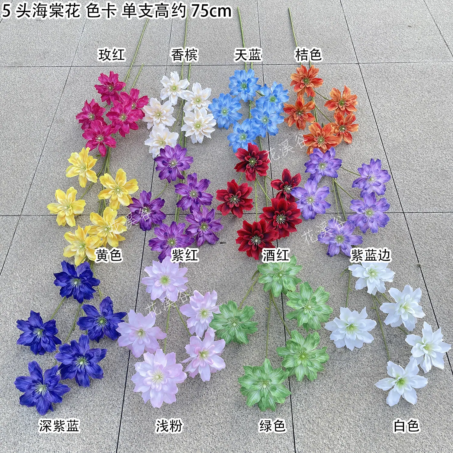 5头海棠花 色卡 花溪谷.jpg