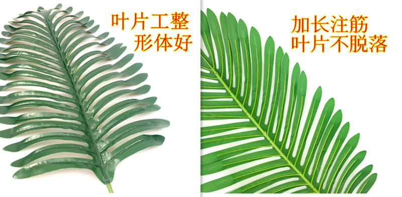 详情14.jpg