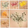 Hojas de Manzana Secas Flores Artificiales Fabricante Decoración del Hogar Ramo de Mano Pared de Flores de Rosa Flores Falsas Estilo Ins Decoración de Boda Transfronteriza