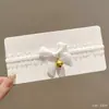 Diadema joyería transfronteriza pluma encaje negro orejas de gato sexys diadema fina diadema de celebridad de internet accesorios para fiestas y actuaciones