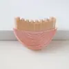 Cepillo Facial de Masaje para Contorno Linfático Transfronterizo Cepillo para Cuidado de Ojos y Cuello Gua Sha Contorno Linfático Facial
