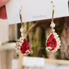2022 Nuevos Pendientes Largos de Moda Elegantes Estilo Coreano para Mujer Estilo Coreano Sencillos Pendientes de Ágata Roja Perla Otoño e Invierno Pendientes