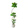 Plantas Verdes Artificiais, Árvore de Borracha Preta de Luxo de Alta Qualidade, Figueira Lira, Árvore Decorativa Artificial de Chão de Alta Qualidade para Sala de Estar Interna