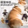Juguete de sonido para perro, peluche que consume energía, duradero y resistente a la masticación, para Bichón Frisé, Golden Retriever, perros pequeños, medianos y grandes, juguete para mascotas