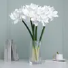 Flor Artificial Senso Avançado Ramo Único Clívia Flor Falsa Decoração de Hotel Sala de Estar Mesa de Jantar Mesa de Centro Material de Flor Artificial