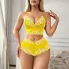 Comércio Exterior Transfronteiriço Fornecimento de Lingerie Sexy, Lingerie de Renda, Conjuntos de Roupa Íntima, Roupa de Casa Sexy, Lingerie Provocante, Atacado