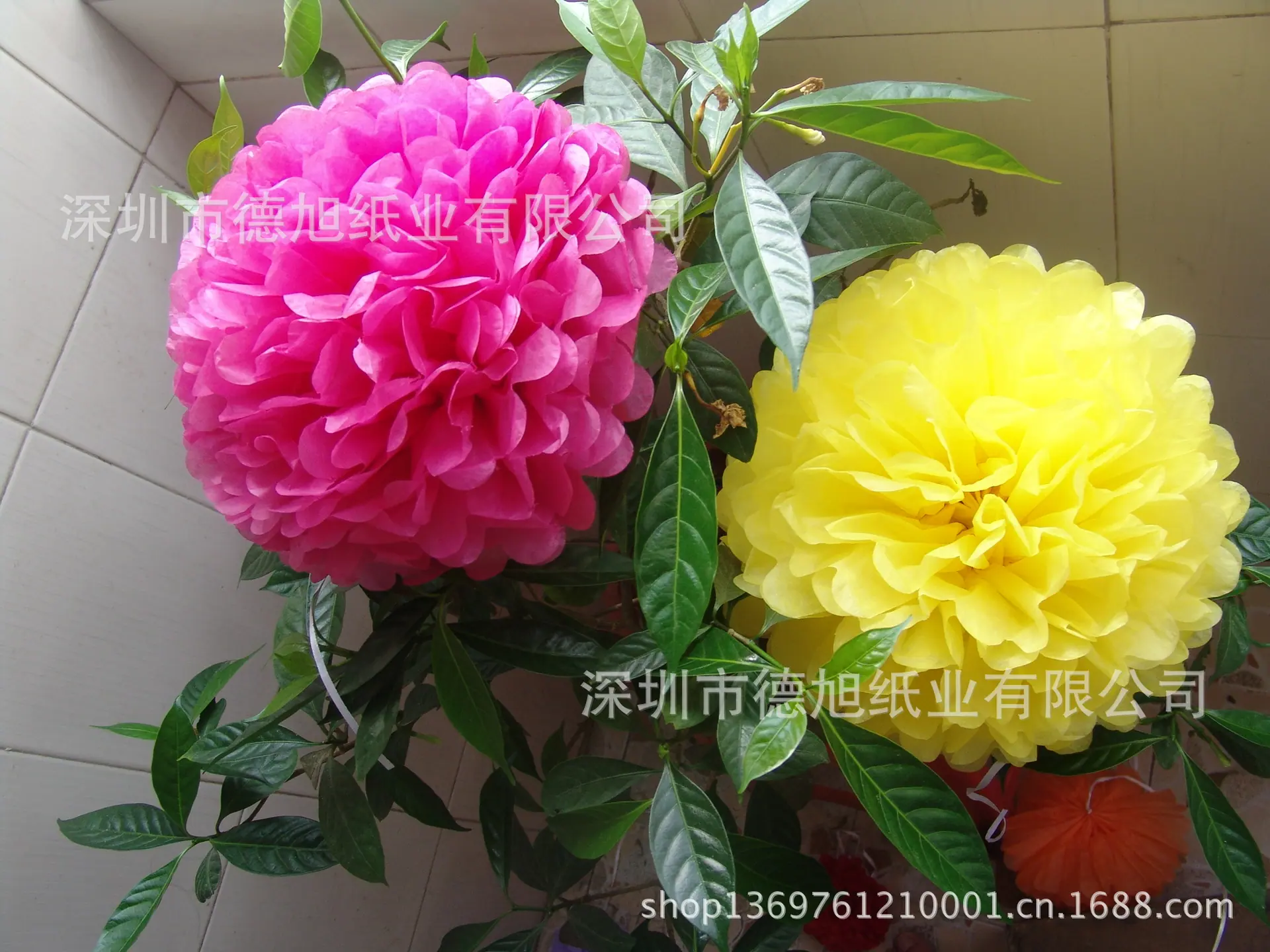 DSC01054