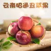 Manzanas Corazón de Azúcar de Roca Zhaotong Yunnan Dropshipping 3/5/9 Jin Piel Roja Manzana Fea Caja de Regalo Fruta Fresca de Temporada