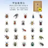 Adesivos Pet Dia Lindo Série História Floral Flor em Aquarela Material de Decoração para Diário Adesivos 15 Folhas 6 Designs