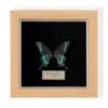 Porta-Retrato Foto de Espécime de Borboleta Pintura Decorativa de Madeira Ornamento Retro Europeu Suporte de Exibição Móveis DIY Presente de Aniversário Feriado