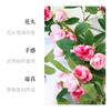 Rosa artificial videira flor artificial rattan ar condicionado tubulação revestimento sala de estar teto decoração plástico Vine flor artificial Videira