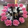 Props de Peônia para o Dia de Abril Props de Dança das Flores Guarda-Chuva de Flor de Peônia Props de Performance de Palco da Dança Yangko Jogos de Flores Props de Flores Flor