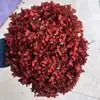 Flor Eterna Folha Pequena Hortênsia Anna Flor Seca Flor Real Estilo Escandinavo Props para Fotos Ins Buquê de Casamento Pronto Decoração