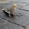 Correa para loro no lastima los pies pájaro uso anillo de pie exterior cuerda de liberación Myna Xuanfeng tobillera cuerda para caminar pájaro artefacto