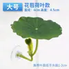 Plantas aquáticas artificiais decorativas e folhas para peixes betta descansarem, se esconderem, desovarem e dormirem.; ornamento de paisagismo para aquário