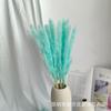 Caña Blanca Venta al Mayoreo Caña Pequeña Pastizal de Pampa Color Caña Flor Eterna Amazon para Flor de Caña Venta al Mayoreo