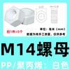 Tuerca Hexagonal de Plástico PVDF Tuerca PP Resistente a Ácidos y Álcalis M3-M30 Anticorrosión PVC Tuerca Hexagonal Exterior de Plástico