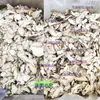 Fatias de Raiz de Angélica Materiais Medicinais Chineses Minxian Gansu Sem Enxofre Fatias Grandes Fatias de Raiz de Angélica Cor Original Fatias de Raiz de Angélica Sopa 10g