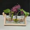Fabricante de Botellas Hidropónicas de Vidrio Produce Adornos Artesanales Creativos, Jarrones de Vidrio Transparente, Admite Tamaños Personalizados