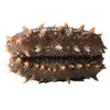 Pepino-do-mar Dalian autêntico pronto para comer, 500g embalado individualmente, frutos do mar congelados, pepino-do-mar de alta qualidade, disponível para entrega