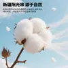 Sábana Bajera de Algodón con Bordado de Oso Dormitorio de Estudiante 100% Algodón Puro Cubre Cama Completo Protector de Colchón Funda para Cama Individual