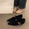 Sapatos Femininos 2025 Outono e Inverno Novos Pretos de Bico Fino com Aumento Interno de Altura Forrados de Lã Sapatos Peludos Cinza Quente