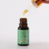 Gotas Nasais de Óleo de Semente de Xanthium para Congestão Nasal e Coceira, Gotas para Inflamação Nasal, Líquido Calmante Nasal, Solução para Cuidados Nasais, Óleo Nasal de Semente de Xanthium