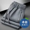 Pantalones Casuales Ligeros de Seda de Hielo para Hombre, Pantalones Rectos, Nuevo Estilo Verano 2026, Pantalones Elásticos de Secado Rápido para Negocios para Hombre