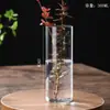 Botella de Vidrio de Borosilicato Alto para Plantas Hidropónicas para Interior, Escritorio, Maceta Pequeña, Cilindro Recto, Arte, Arreglo Floral, Jarrón, Musgo, Botella Ecológica