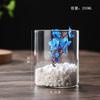 Jarrón de vidrio transparente hidropónico con adornos de alto valor, jarrón creativo para sala de estar, jarrón de vidrio de borosilicato simple y alto.