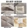 Colcha de terciopelo de leche colcha de invierno 2026 nueva engrosada cálida 5 kg forrada de forro polar coral forro de colcha de otoño e invierno