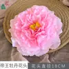 Cabeza de Flor de Peonía Imperial, Peonía Tendencia Nacional, Arco de Boda, Flores Artificiales Decorativas, Escenario de Pared de Flores de Hotel Flores de Seda