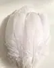 Penas de Ganso Coloridas Macias e Fofas 14- 18cm DIY Artesanal Apanhador de Sonhos Flor de Pena Desenho Animado Fantasia Materiais de Artesanato