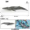 Modelos Realistas de Animales Marinos Transfronterizos: Tiburón Azul, Megalodón, Tiburón Ballena Gris, Tiburón Blanco, Tiburones Martillo Juguetes