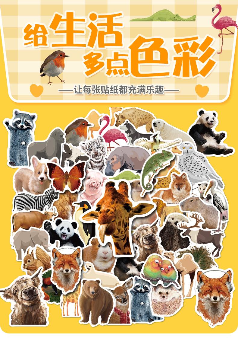 详情页_01.jpg