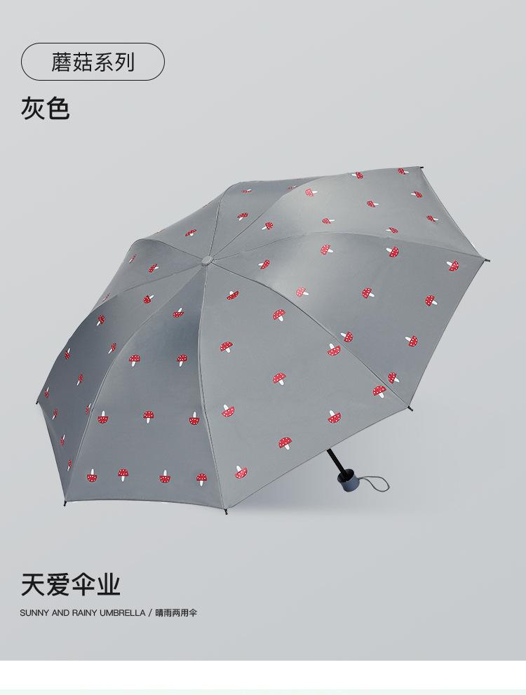 详情3 (19).jpg