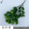 Aguja de pino, nuevo producto, ramas de ciprés, boda, auditorio, camino, flor, arte, simulación, flor, fotografía comercial, accesorios de belleza, flor de seda