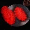 Accesorios de ropa de plumas de avestruz de colores materiales de decoración de bodas accesorios de plumas hechos a mano DIY decoración del hogar